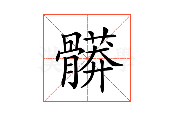 𩪎