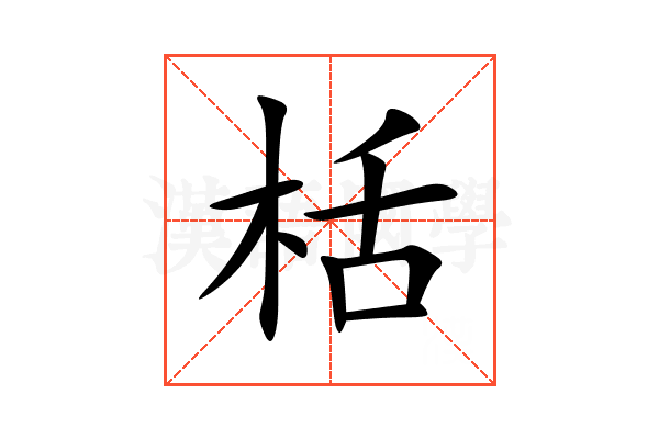 栝