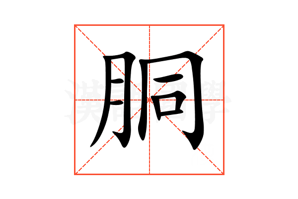 胴