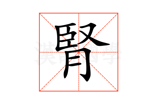 腎