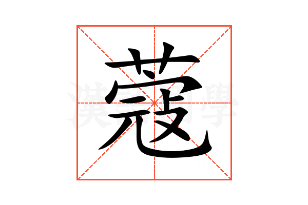 蔻