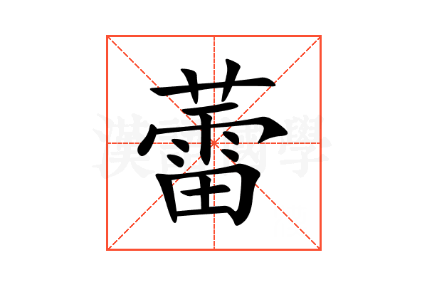 蕾