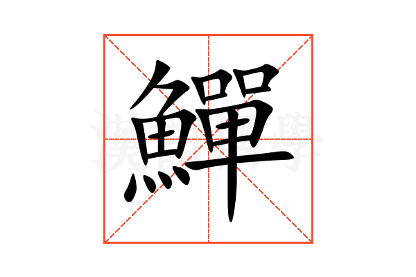 鱓