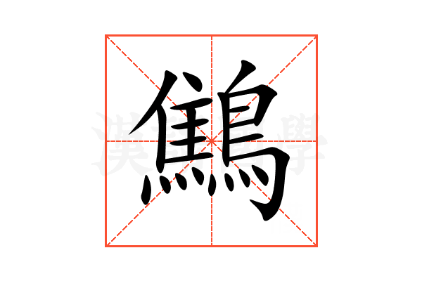 鷦