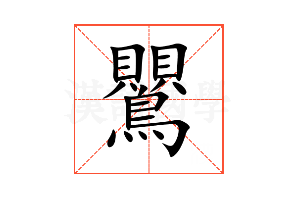 鸎