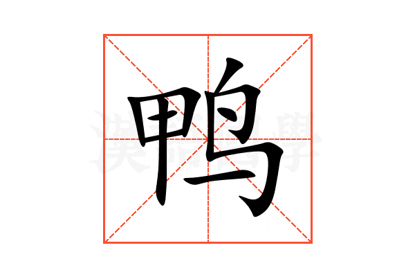 鸭
